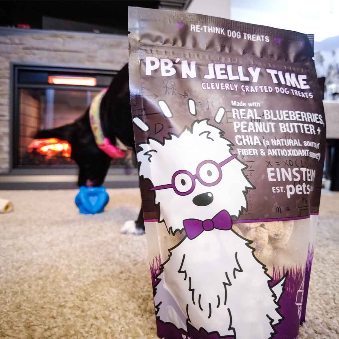 Einstein Pets - PB'N Jelly Time Dog Treats