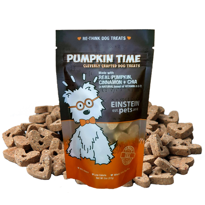 Einstein Pets - Pumpkin Time Dog Treats