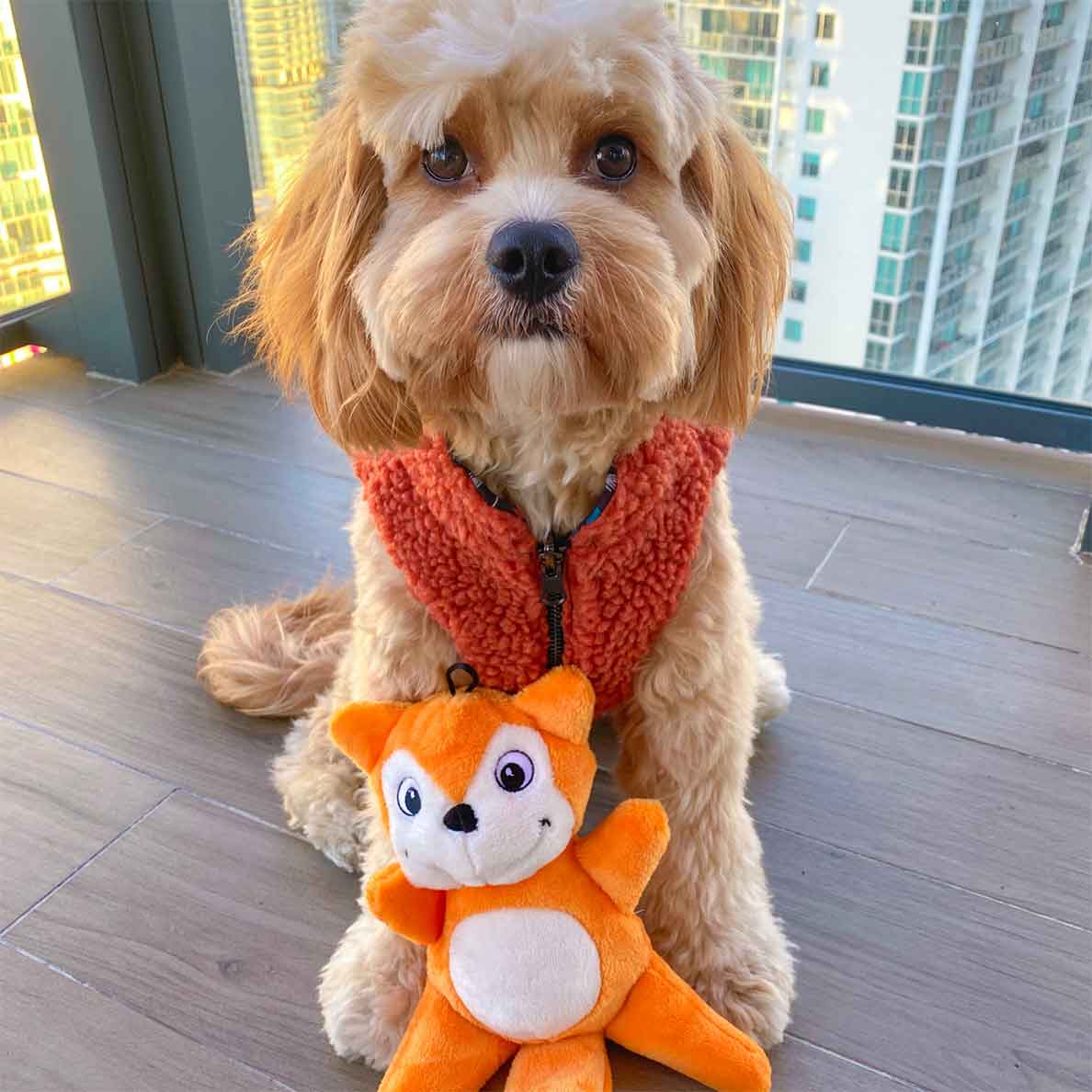 Tender-Tuffs Fox - Soft Plush Toy For Dogs