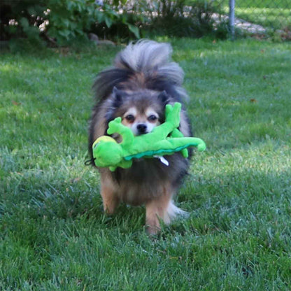 Tender-Tuffs Gecko-Cute Squeaky Plush Toys For All Dogs